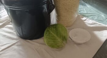 IMG-20251029-WA0002 IMG-20251029-WA0002