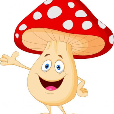 muchomor images