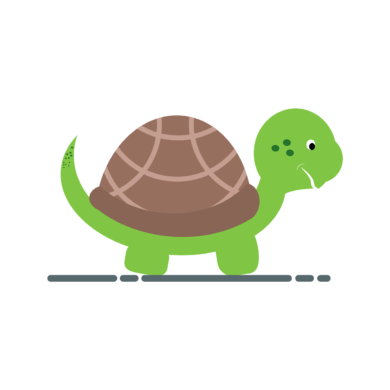 tortoise-5556286_1280