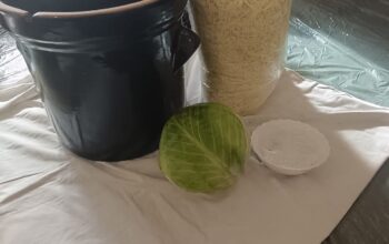 IMG-20251029-WA0002 IMG-20251029-WA0002